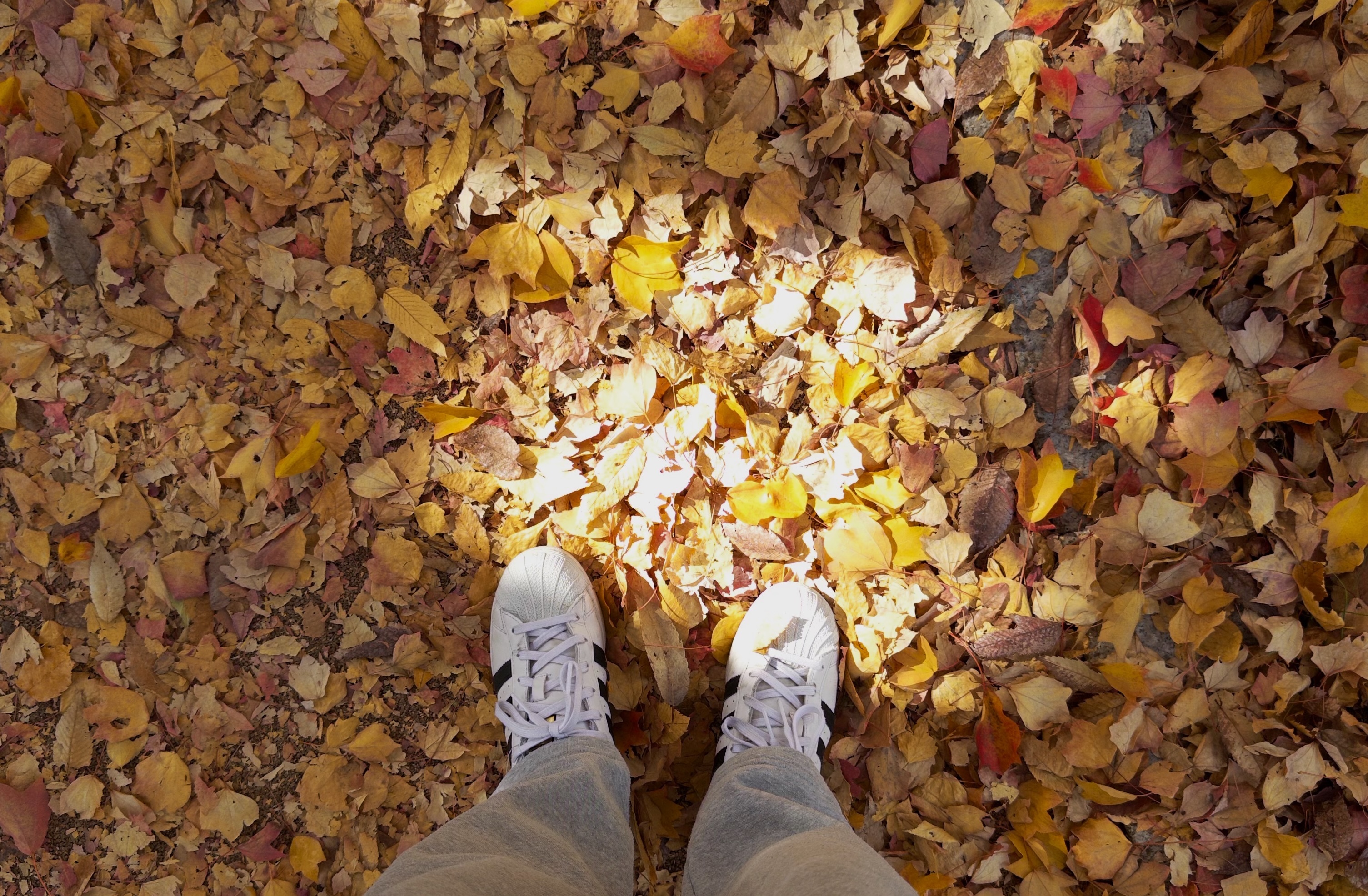 Three Months After Surgery: Changes Made by Small Movements